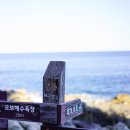 창포리 해맞이공원(빛의 거리) | 영덕 쪽빛 바다 해안 절경, 블루로드 B코스 맛보기 | 해맞이공원~ 대탄방파제