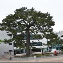 해남군청 이미지