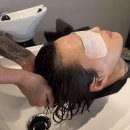 프링헤어 이미지