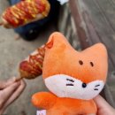 쏭쏭이네
