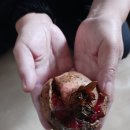 영남이용소 이미지