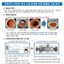 크린에코시스템