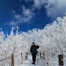 블랙야크첨단주 | 겨울철 고어텍스 등산복이 필요할까? (Feat 블랙야크 고어텍스 D익스플로러 GTX 다운다켓)