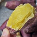 행복한작은고구마 | 쿠팡 한입 꿀고구마 후기. 집에서 쉽게 만드는 군고구마 간식