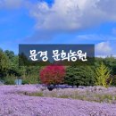 문경 문희농원 인스타핫플 솔직후기