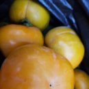 안골농장 이미지