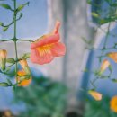 추산경로당 이미지