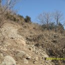 안심산 둘레길 이미지