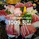 1009 | 수원역 방어 맛집 : 1009 횟집 : 대방어 내돈내산 후기