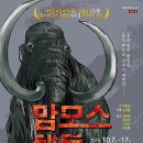 맘모스 이미지
