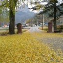 한우리펜션 이미지