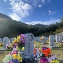 심정민추모사업회