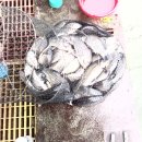 신당낚시터 이미지