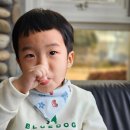 송산목장 네이버블로그