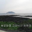 제주여행....충남여고동창 한림에서 테우 낚시 체험... 이미지