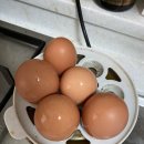 에스겔-푸름농장 이미지