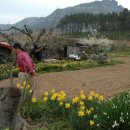 충일농장 이미지