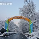 (재)평택시청소년재단 무봉산청소년수련원 이미지