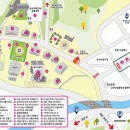 금산인삼 이미지