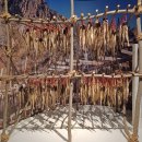 창일민박 이미지