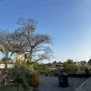 낙천서가 이미지