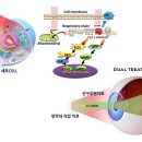 씨엠개발