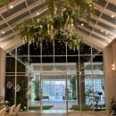 2789 | W01. 웨딩베뉴 대구 웨딩홀 투어 노비아갈라 웨딩 동촌점 계약 후기 - 포레아홀 시그니아홀 비교