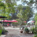 쇼어컴퍼니 이미지