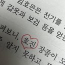 호진