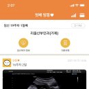 리움산부인과의원 이미지