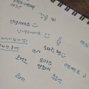 오리둥지 | 강릉 소품샵 투어(오리둥지/삶은 감자/오어즈/디베데)