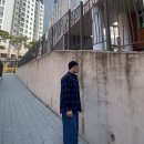 어반베이직 티스토리