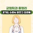 경기도 수원시 장안구 조원동 교정치과 총정리