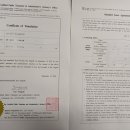 공인대한 번역&일반 행정사 사무소 이미지