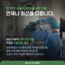 송파스마일동물병원 | 송파동물병원 고양이 대퇴골 골절 수술 치료 후기 김선영외과동물병원