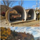 홍천강 자라바위 오토캠핑장 이미지