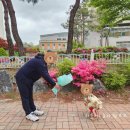 시립세마어린이집 | 오산 꽃집 오로즈 꽃가게 남편 생일 꽃다발 아이와 축하 후기