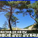 평창) 누구나 살고싶은 배산임수 토지(중개사 추천매물) 이미지