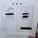 쭉벼사기로 인해 경찰서 갔다온 자세한 후기 이미지