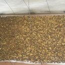 만추의 전원 이미지