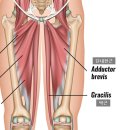 아레스짐 이미지