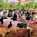 나비축산 이미지