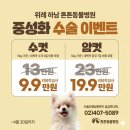 나라라펫 송파거여점 | 성남 복정동 강아지 암컷 중성화수술, 무통처치 최소절개 성남위례, 송파구 거여 위례 튼튼동물병원