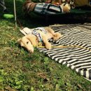 봉평마가리 캠핑장 이미지