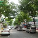 스캔들노래연습장 이미지