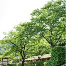 심청한옥마을 이미지