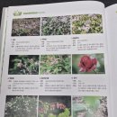 하늘바람꽃농원 이미지