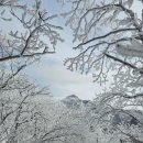 황골탈태 뼈해장국 | 치악산 등산코스를 황골 최단코스로 올라 비로봉 인증한 후기 및 주차 정보