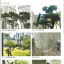 (주)희망나무종합병원