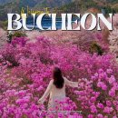 연수구견인차량보관소 | 경기도 꽃구경 4월 가볼만한곳 부천 원미산 진달래동산 주차 저녁 방문 후기